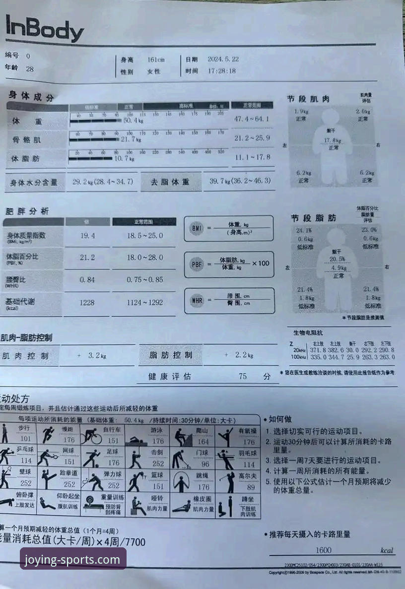 盈嘉体育操作指南 盈嘉体育平台操作指南深度评测:从入门到精通的完整体验报告